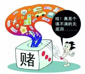 网赌视频爆料犯法吗判几年,判罚年限揭秘